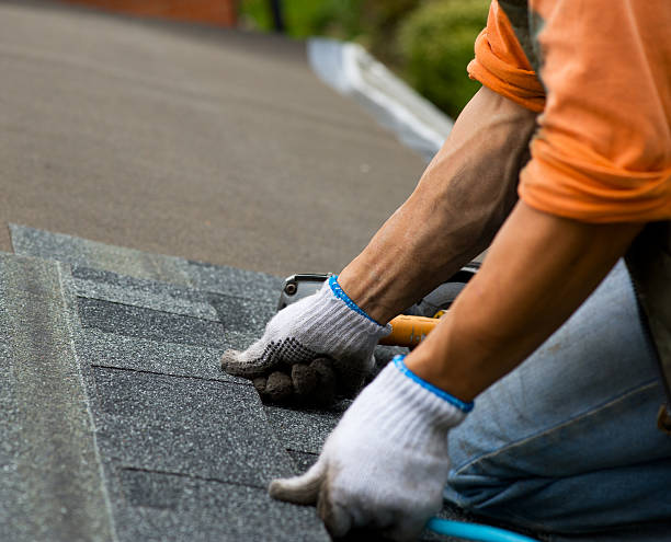 Best Roof Maintenance Services  in Lewiston, CA