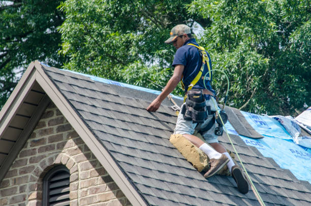 Best Storm Damage Roof Repair  in Lewiston, CA